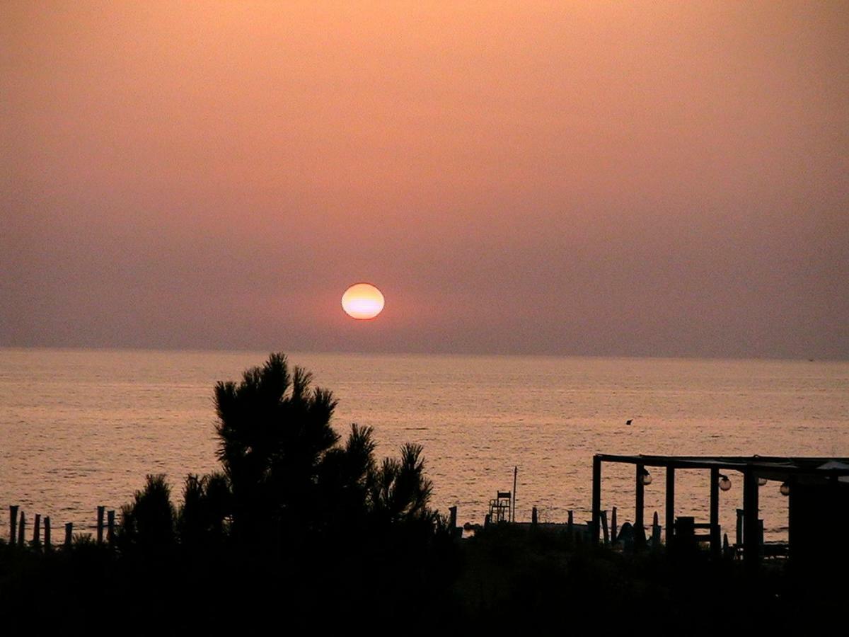 Villa Amazing Sea View Flat Tirrenia Exterior foto